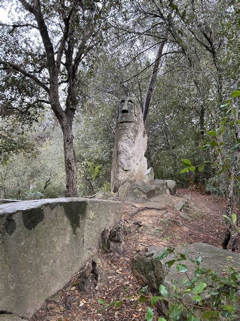 bosque encantado de orrius|The Enchanted Forest of Òrrius – Òrrius, Spain